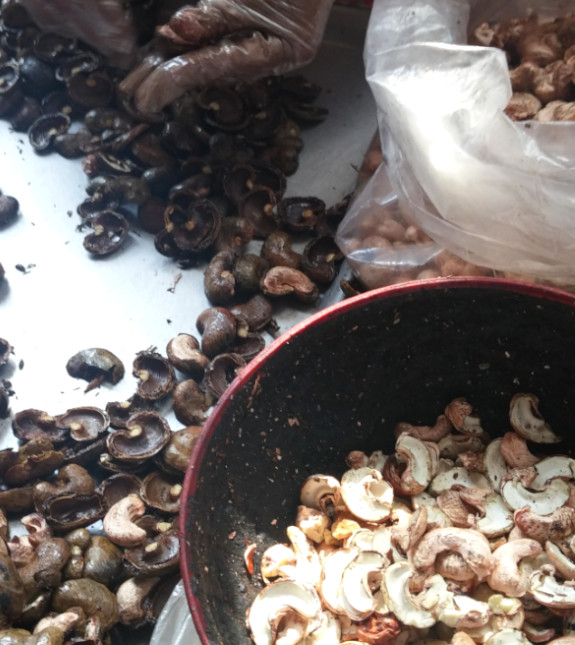 Mogoton Asesoria Integral